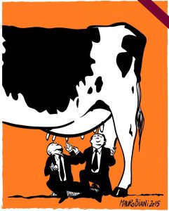 mafia-capitale-mucca